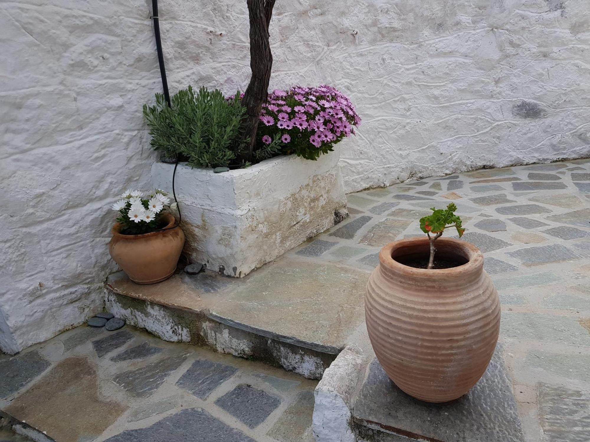 Tirós Lovely Traditionnal House With Sea View מראה חיצוני תמונה